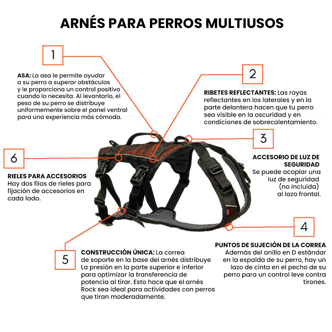 🐶 ARNÉS AJUSTABLE PARA PERROS
