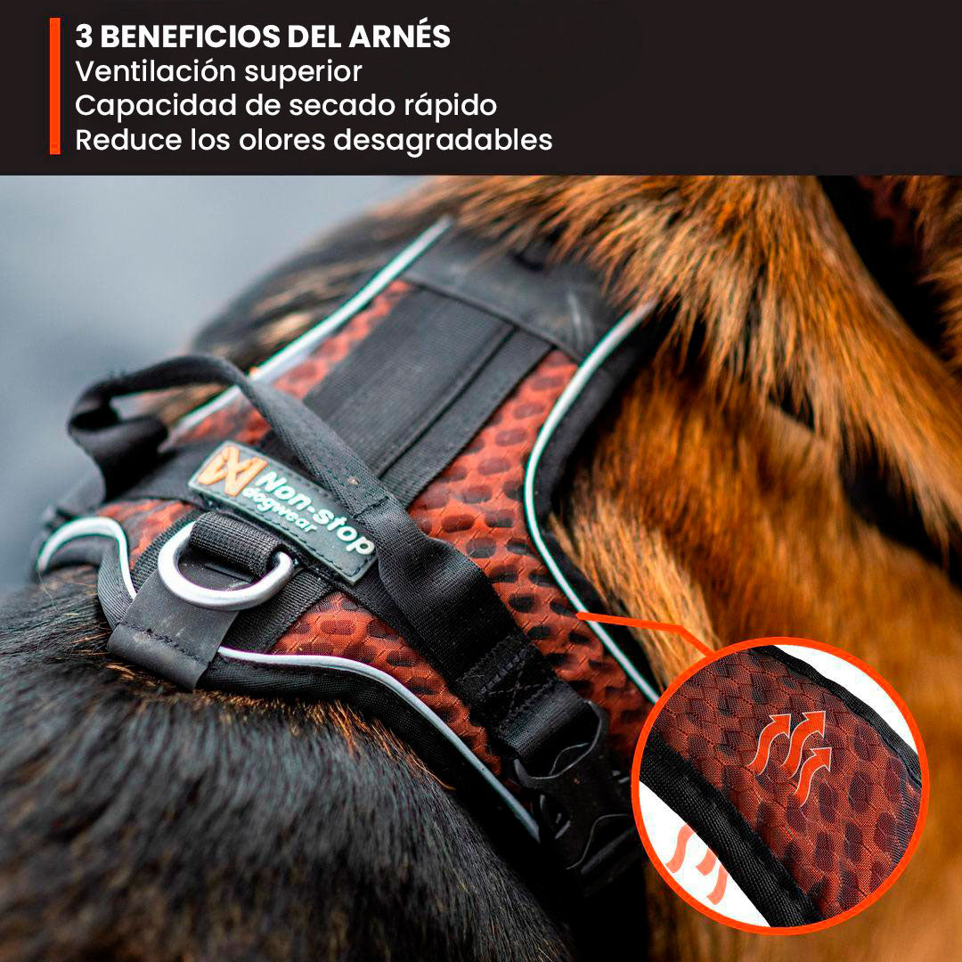 🐶 ARNÉS AJUSTABLE PARA PERROS