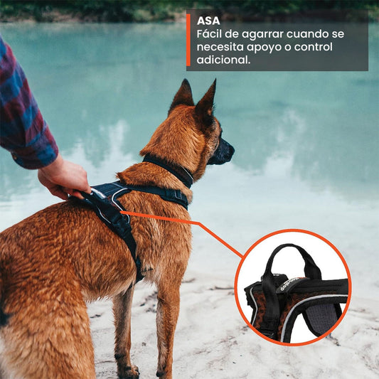🐶 ARNÉS AJUSTABLE PARA PERROS